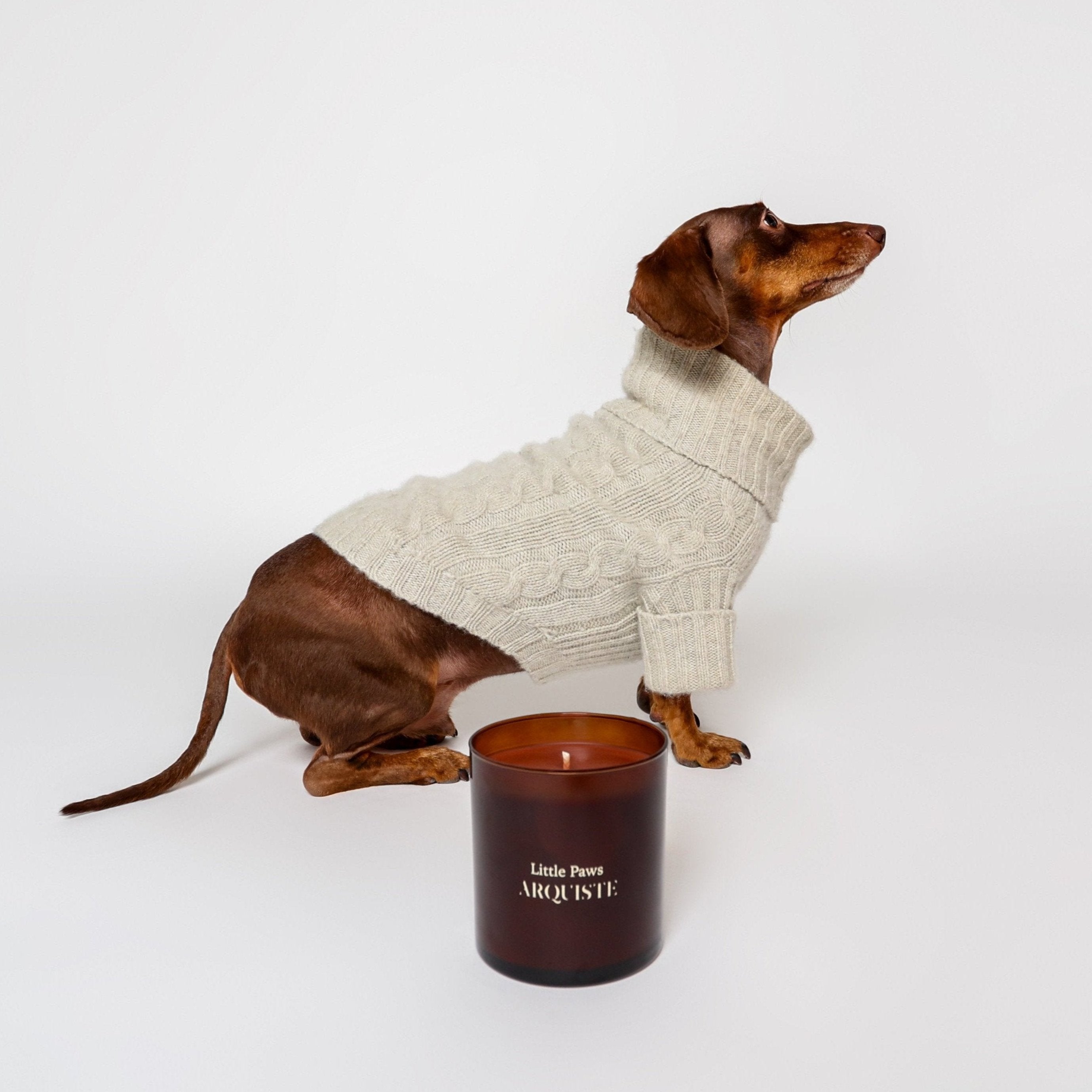 Arquiste Little Paws