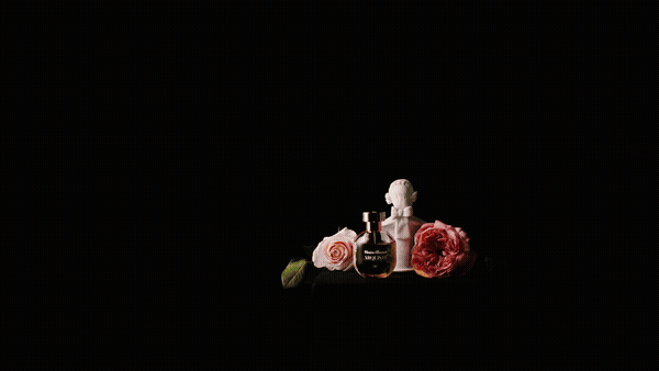 VENICE ROCOCO