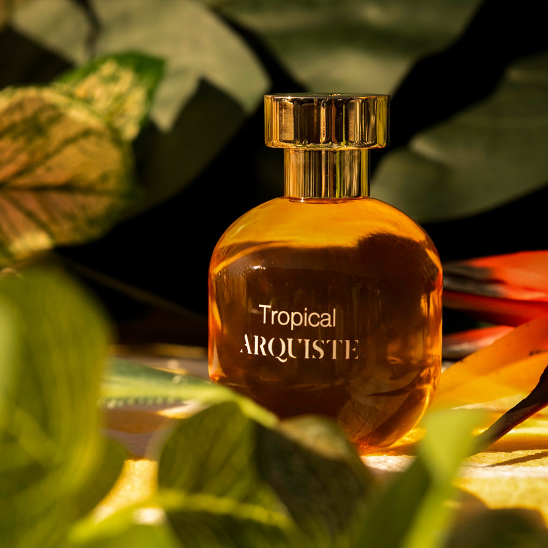Arquiste Tropical in a lush garden