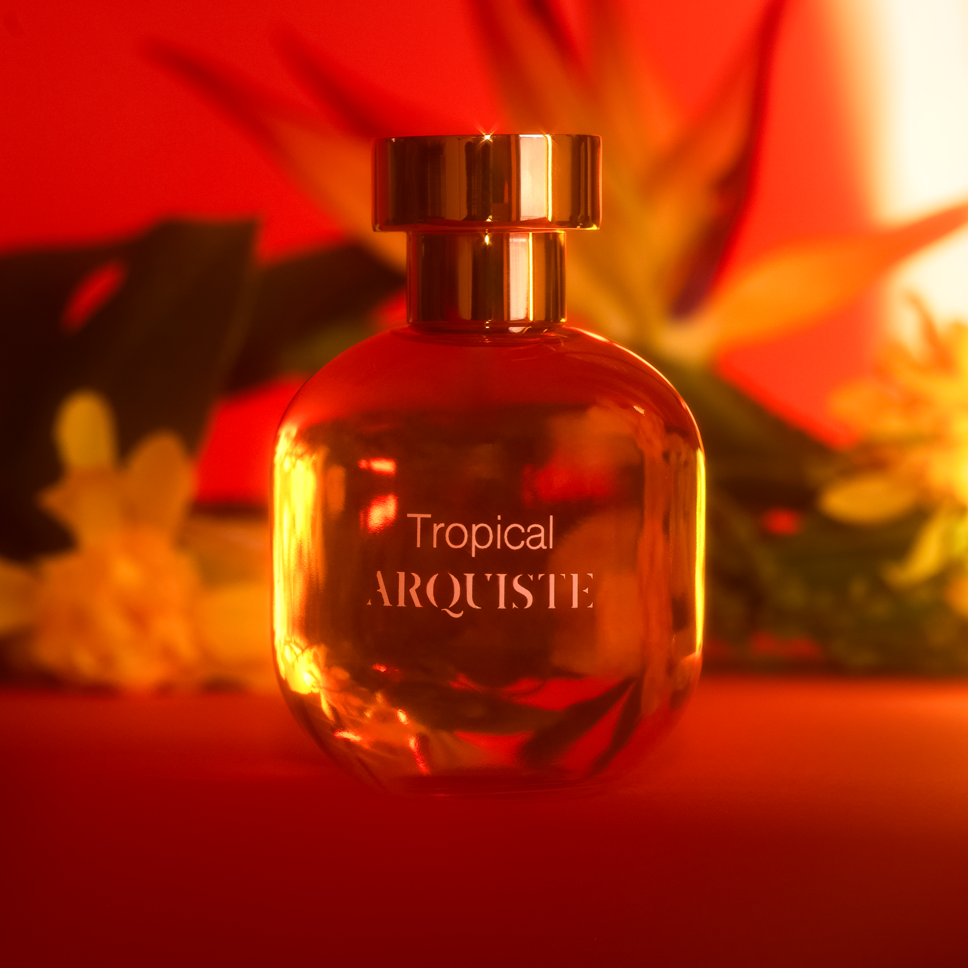Arquiste Tropical