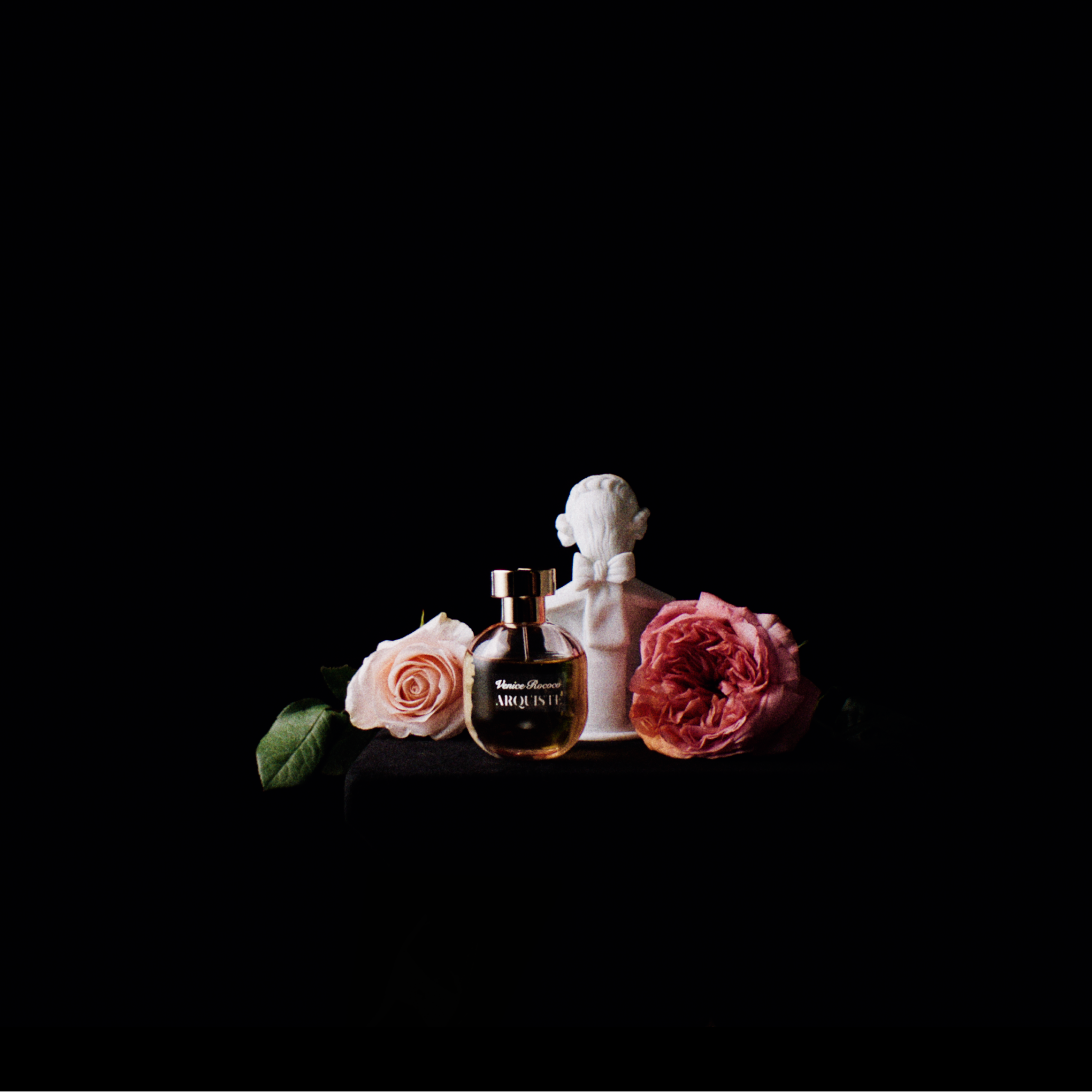 An Arquiste 100ml Venice Rococo perfume bottle with pink accents and a 18th century white biscuit decorative bust, styled with pink roses on a solid black background.