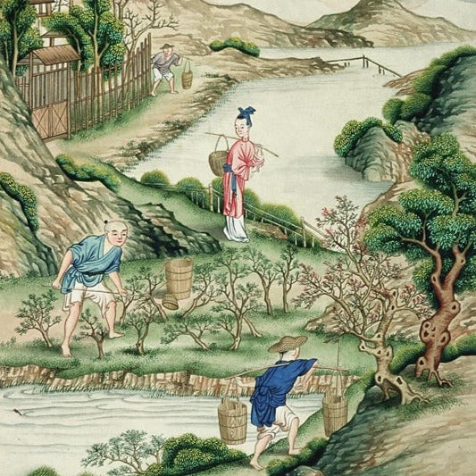 Tea Cultivation in the Wuyi Mountains 1790