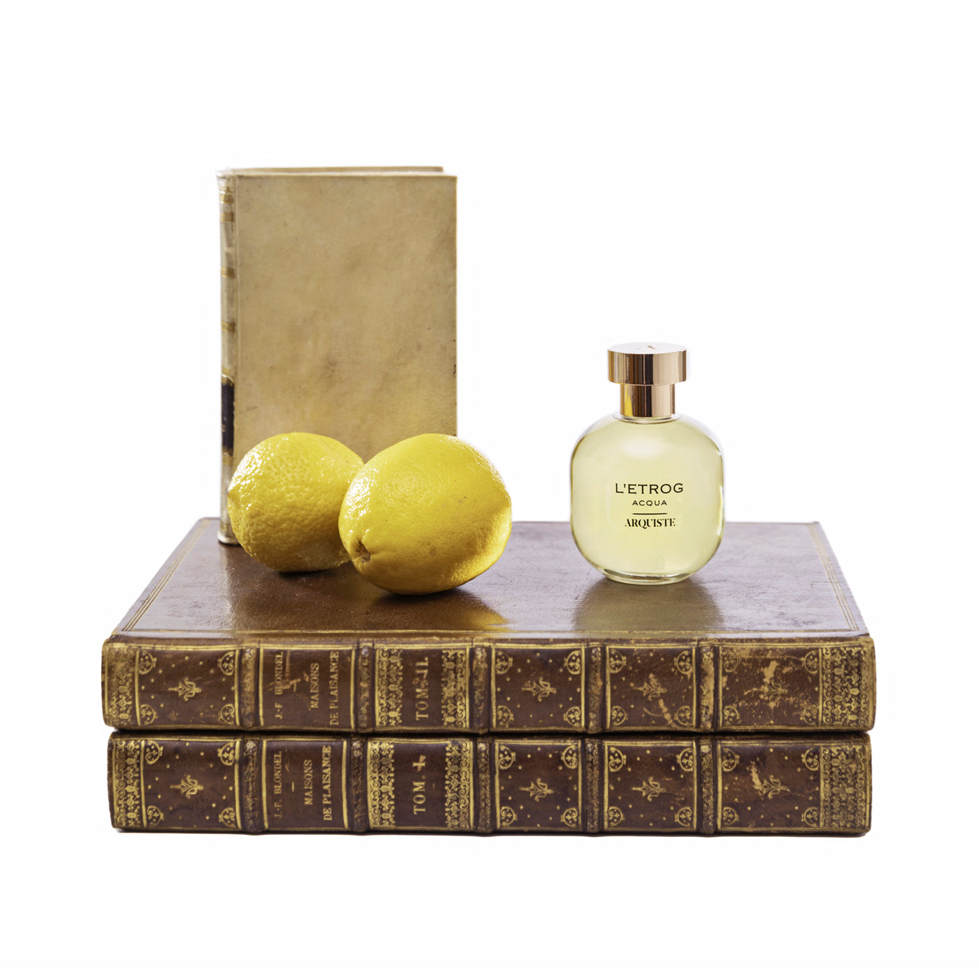 ARQUISTE Citrus/Fresh Fragrances