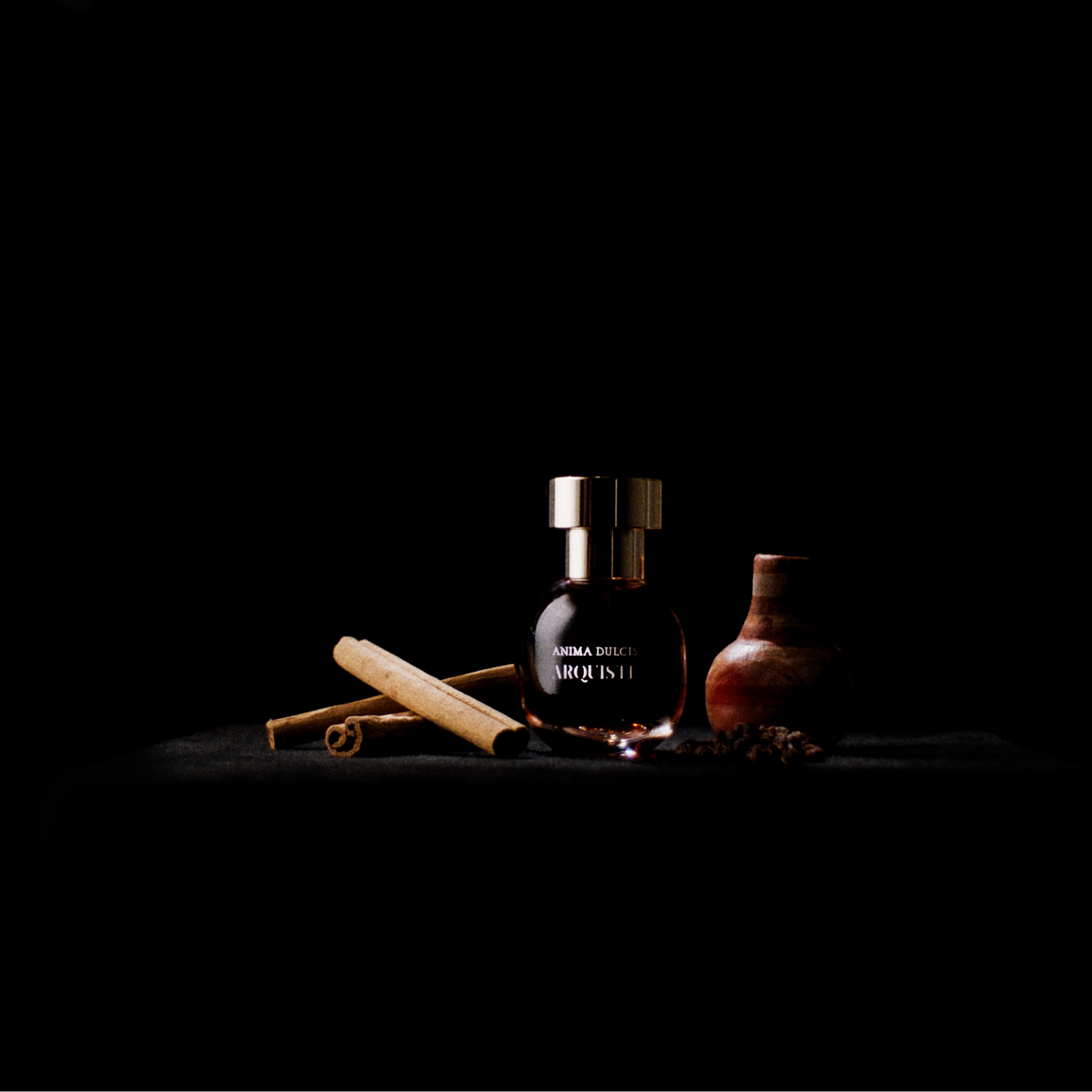 A small ARQUISTE glass perfume bottle with a metallic cap sits on a black surface against a black background, alongside a wooden stick, a small brown vessel, and scattered dark seeds or spices. The bottle reads 'ANIMA DULCIS'.