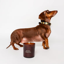 Load image into Gallery viewer, Arquiste Little Paws and dachshund