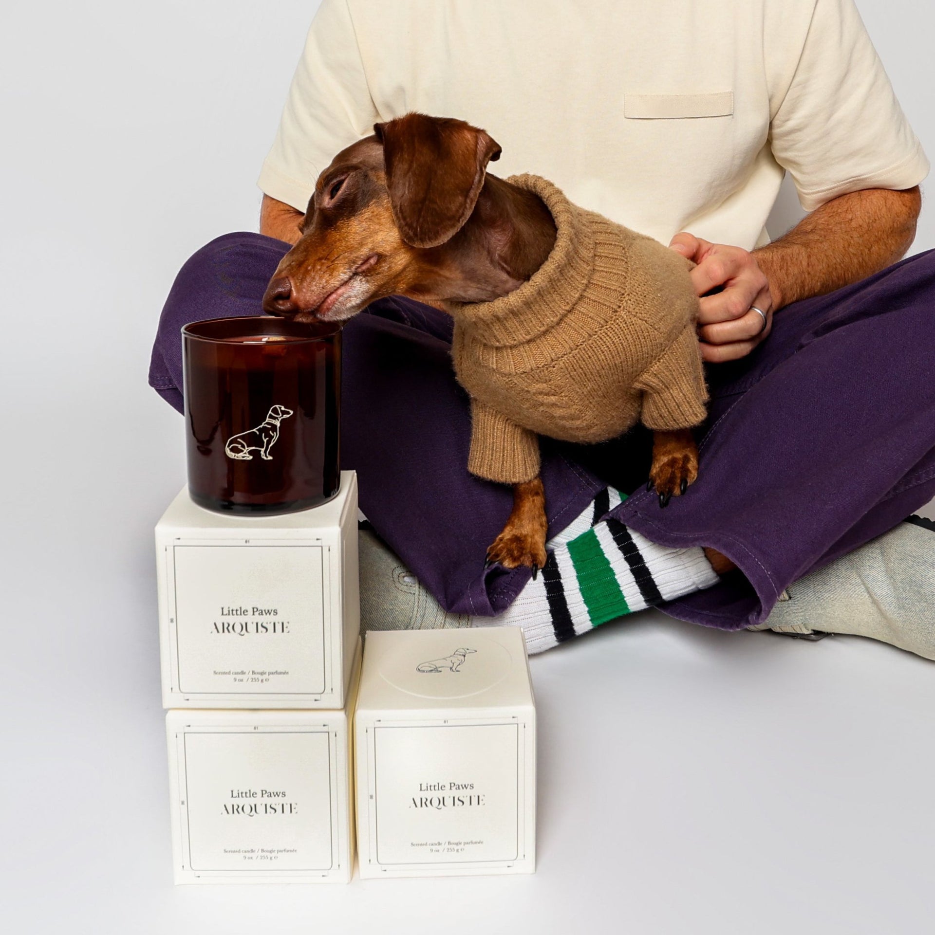 Dachshund smelling Arquiste scented candle