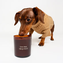 Load image into Gallery viewer, Dachshund smelling scented candle