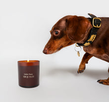 Load image into Gallery viewer, Chorizo the dachshund smelling ARQUISTE Little Paws