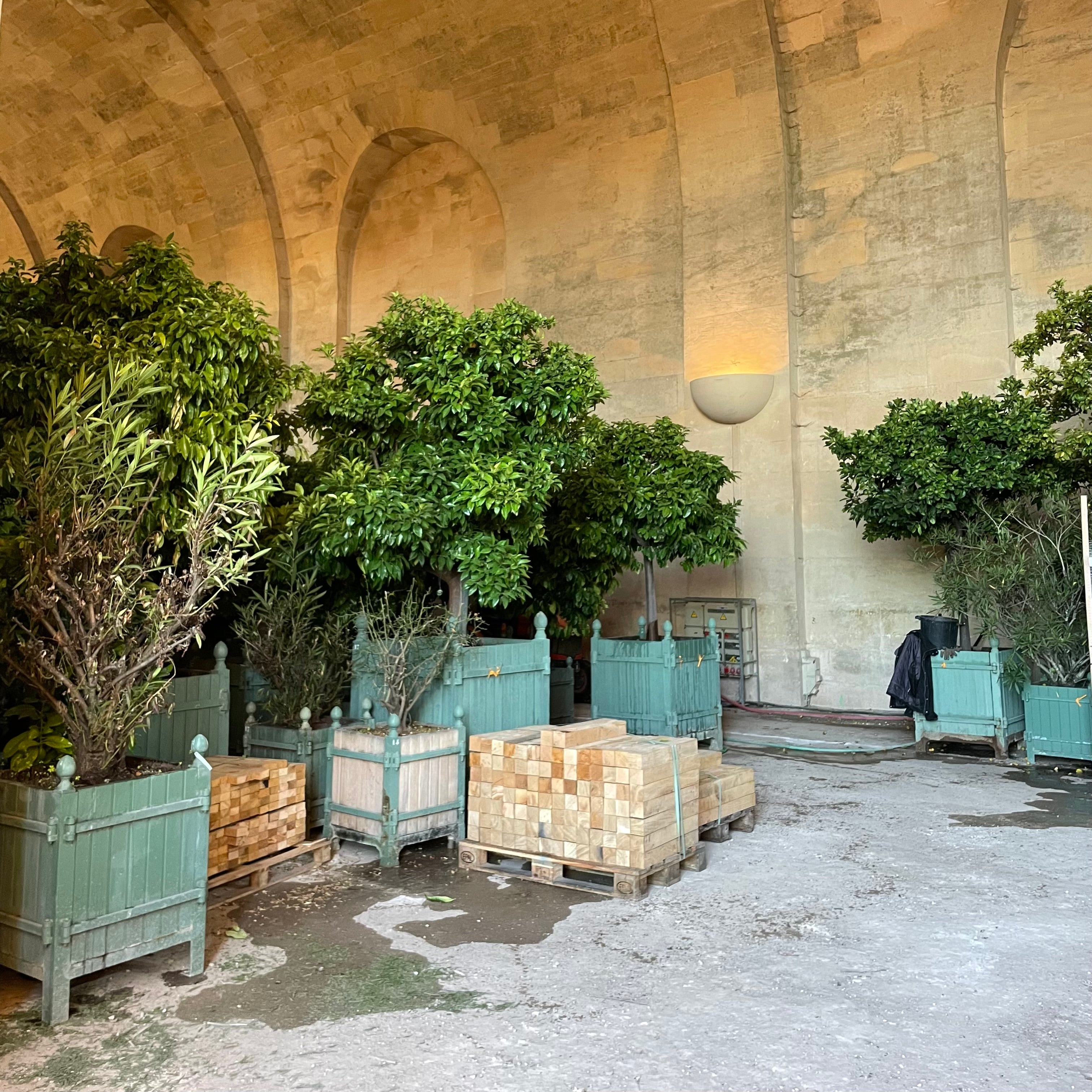 INSIDE THE ORANGERY