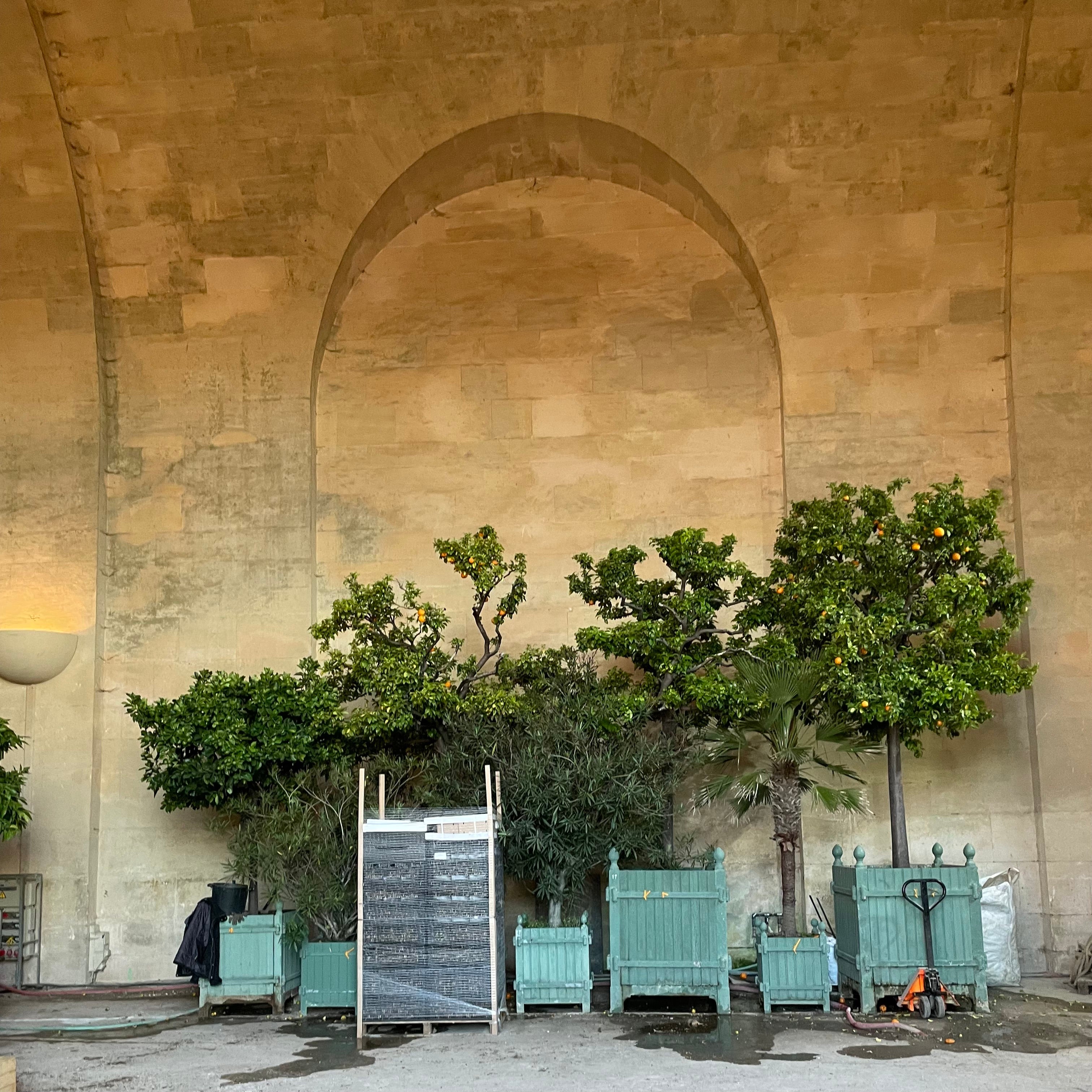 INSIDE THE ORANGERY