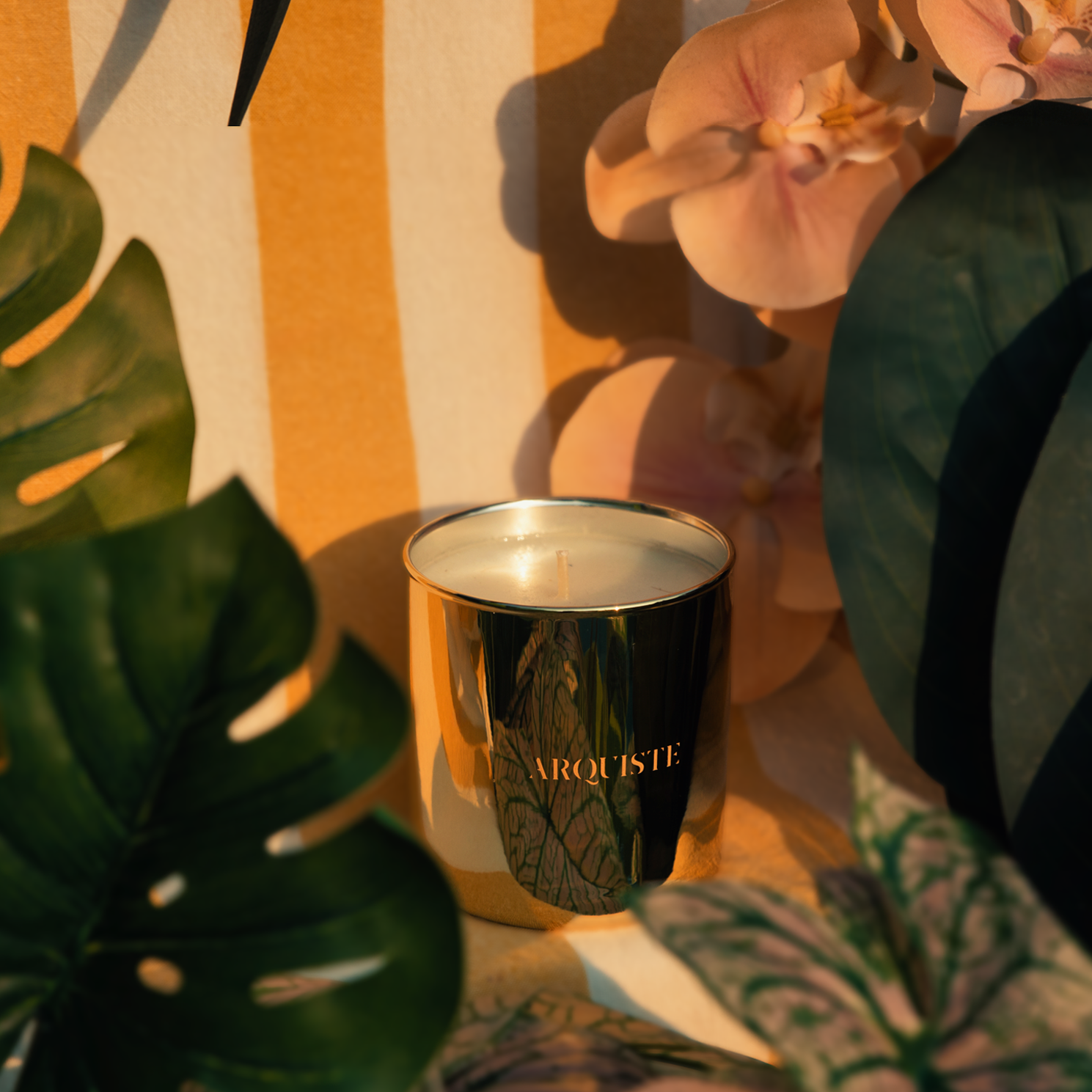 A metallic gold candle jar with the brand name 'ARQUISTE' printed in gold lettering, styled with tropical green leaves and pink orchids under warm golden sunlight.
