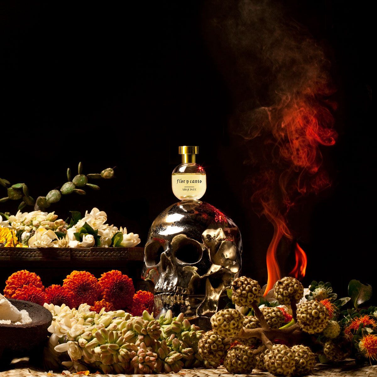 Arquiste flor y canto Clearance